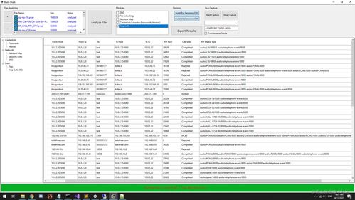 大蒜分析工具2 功能强大的网络与信息安全软件开发利器